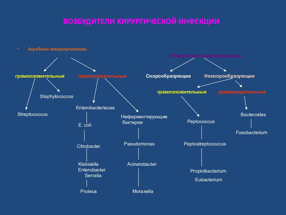 Хирургический сепсис презентация у детей