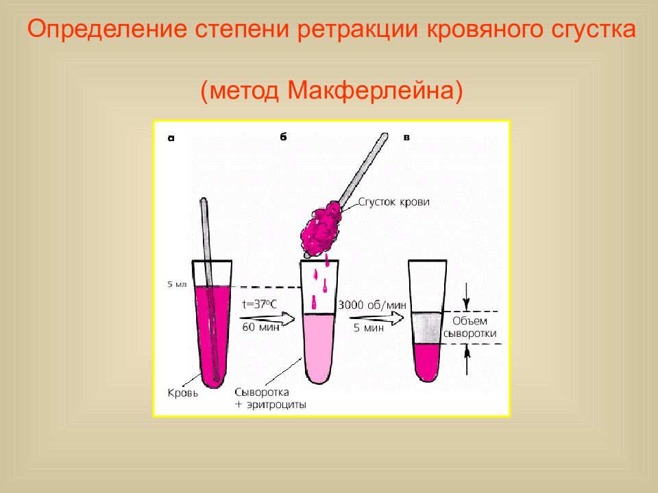 Стадия определение