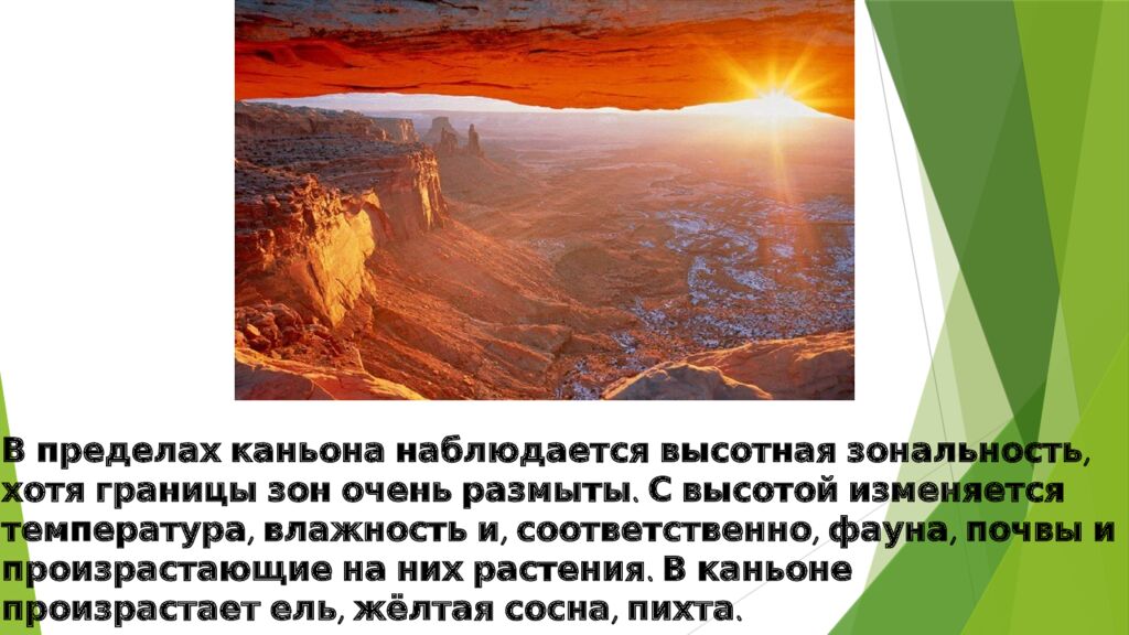 Гранд-каньон