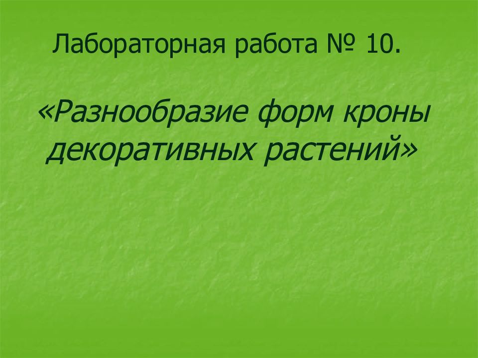 Лабораторная работа № 10. « Разнообразие форм кроны декоративных растений»