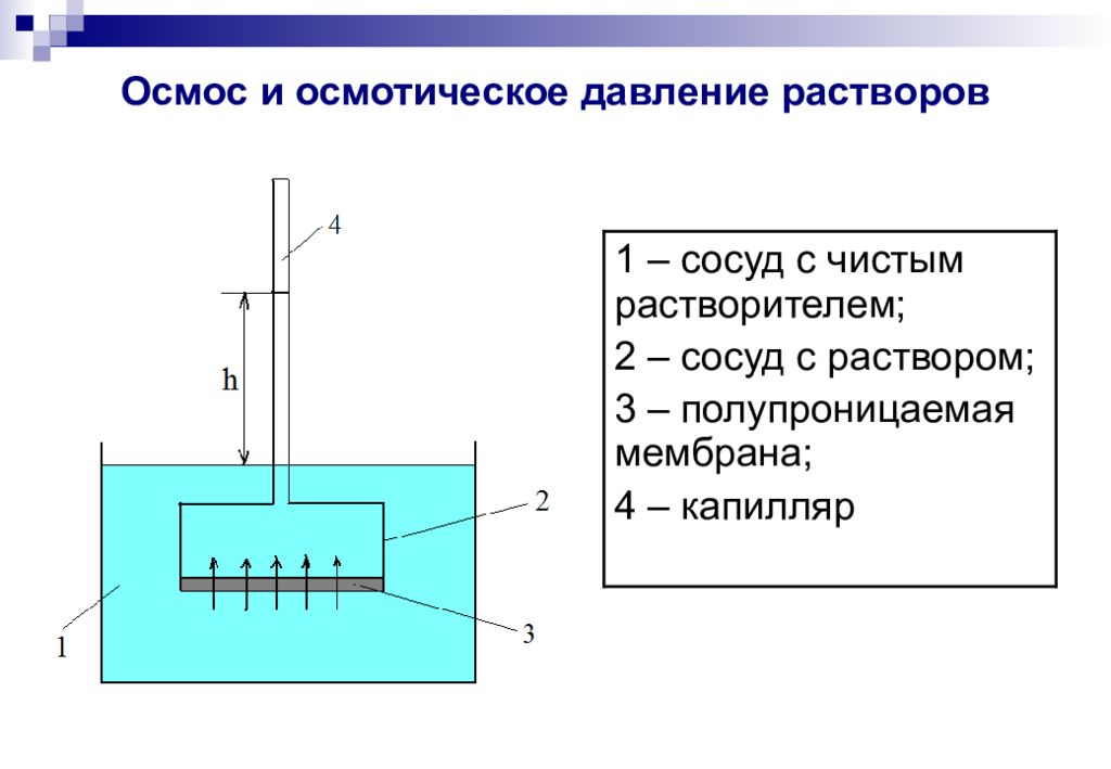 На рисунке показан раствор. Осмос осмотическое давление растворов. Осмос причины его возникновения осмотическое давление. Осмос осмотическое давление в дисперсных системах. Осмос и астматическое давление.