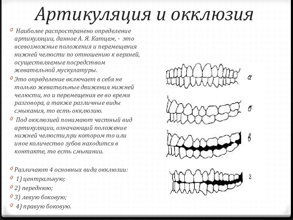 Артикуляция и окклюзия