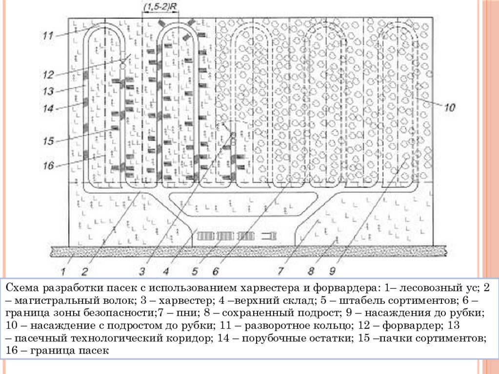 Определение лесосеки. Схема разработки пасек с использованием харвестера и форвардера. Схема разработки делянки Харвестером. Схема разработки пасеки лесосеки. Схема разработки пасеки Харвестером.