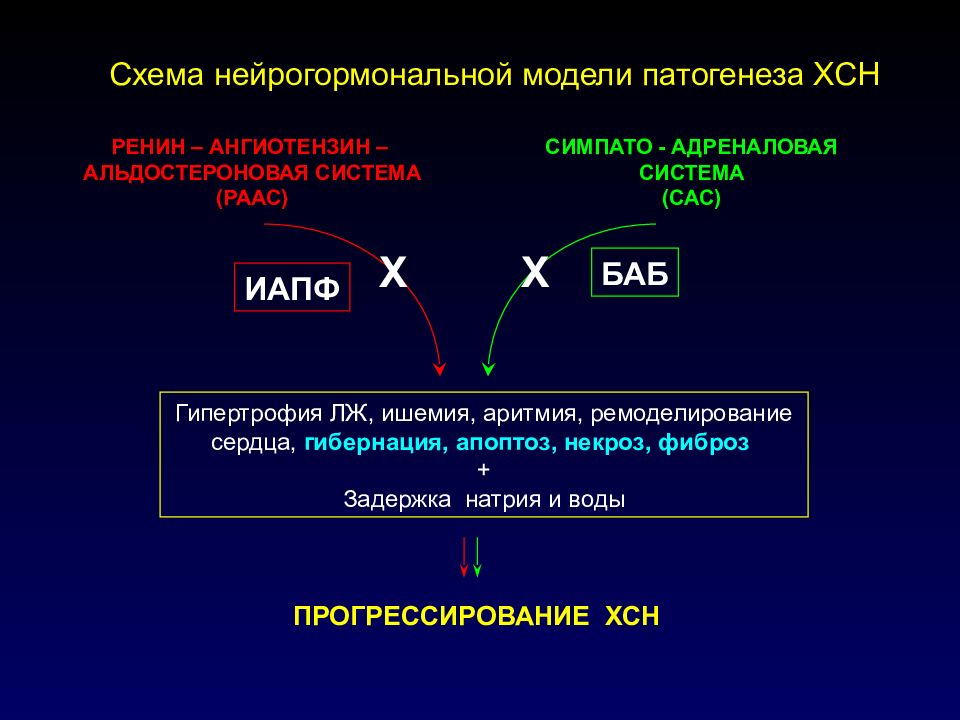 модели патогенеза. модели патогенеза. общий патогенез расстройств нервной деятельности. модели патогенеза. октаэдр пейджа.