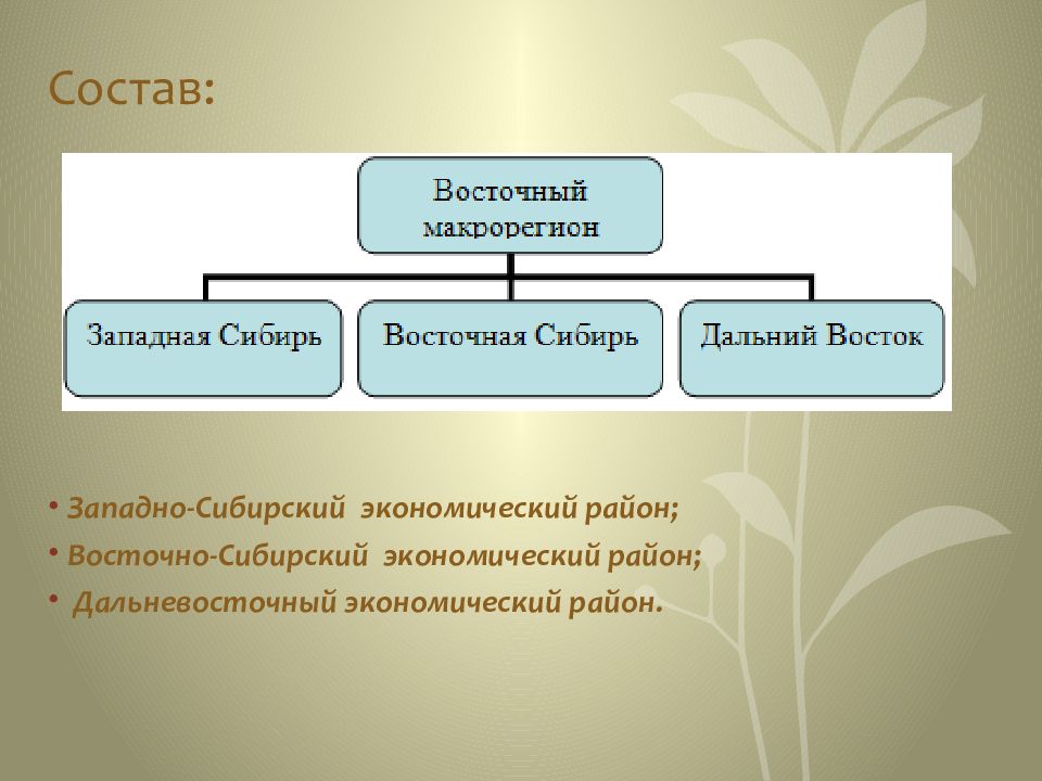 Восточный макрорегион карта