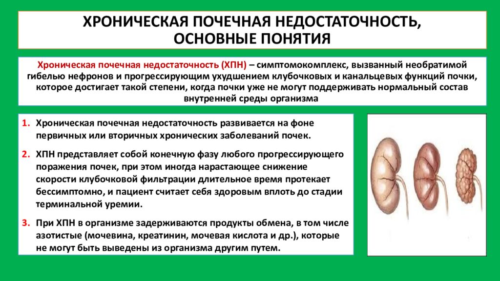 Кожные покровы при почечной недостаточности