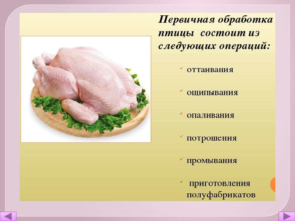 Презентация на тему мясо птицы