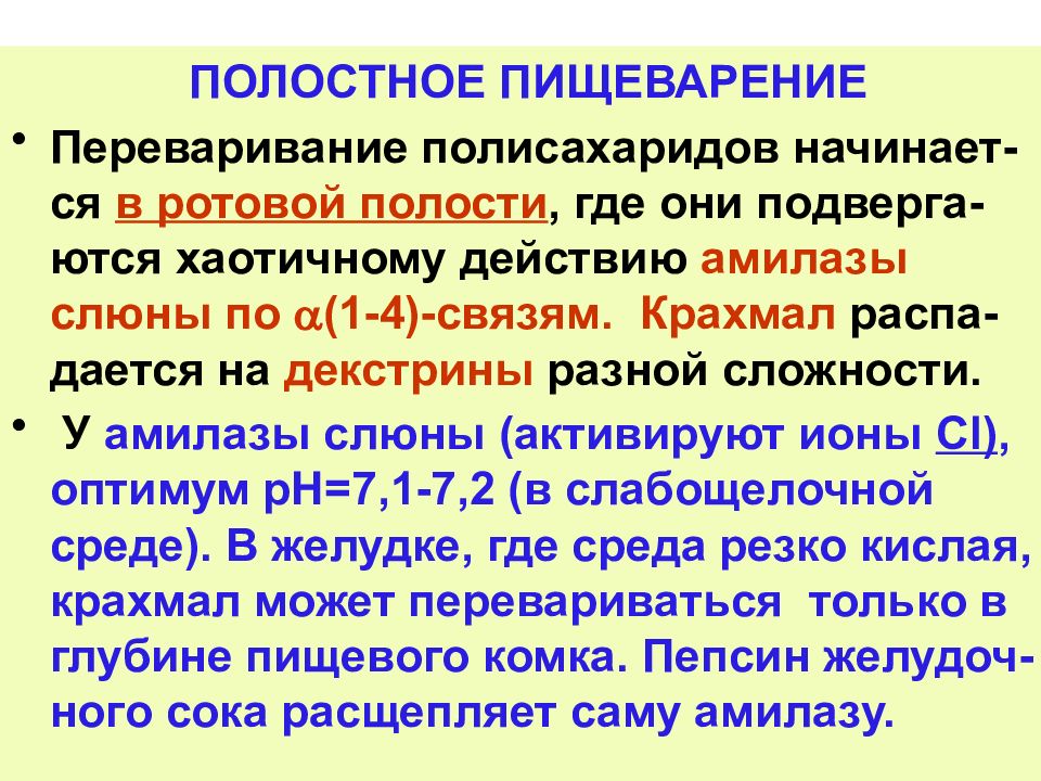 УГЛЕВОДЫ: функции и обмен УГЛЕВОДЫ: функции и обмен