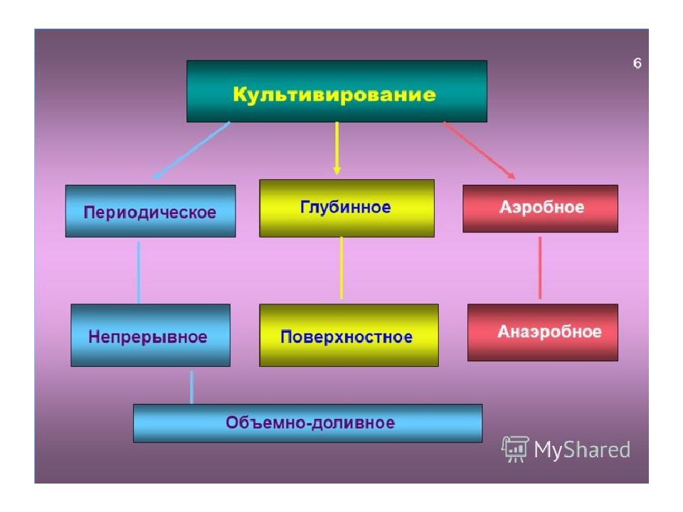 Анаэробное культивирование. Культивирование аэробных микроорганизмов. Парное культивирование. Непрерывное культивирование разделяют на:. Культивирование аэробных микроорганизмов методом «газонов».