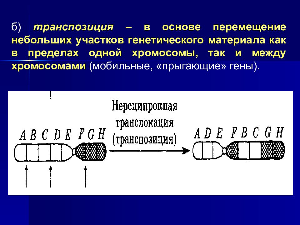 Перемещение хромосом. Транспозиция хромосомные мутации. Транслокация и транспозиция. Реципрокная транслокация между хромосомами. Транспозиция и транслокация генетика.