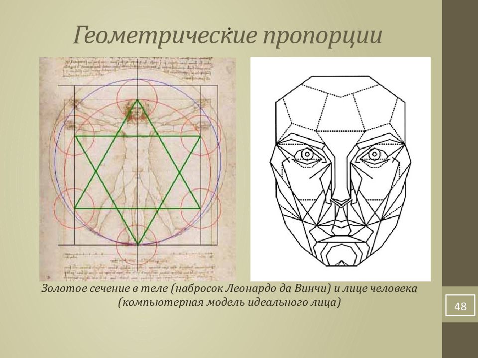 Золотое сечение лица схема