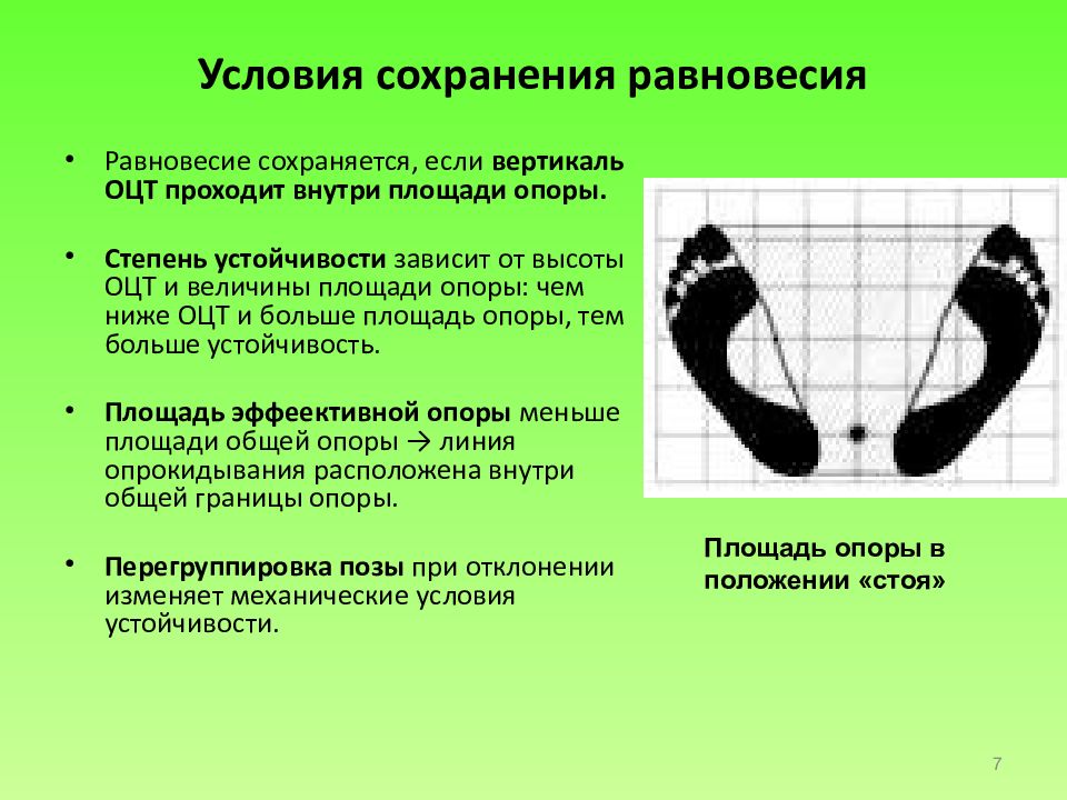 Вертикальное положение человека