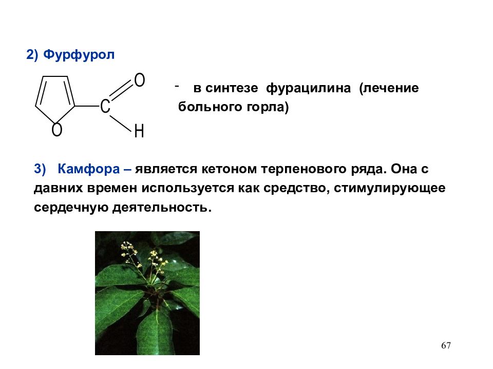 Фурфурол. Камфора с фурфуролом. Образование фурфурола. Синтез фурфурола. Фурфурол получение из фурана.