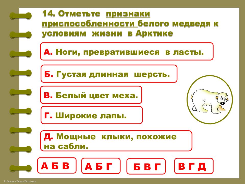 Отметьте признаки. Признаки приспособленности белого медведя к условиям жизни в Арктике. Признаки приспособленности белого медведя к условиям жизни. Признаки приспособленности белого медведя к условиям Арктики. Признаки приспособленности белого медведя к условиям.