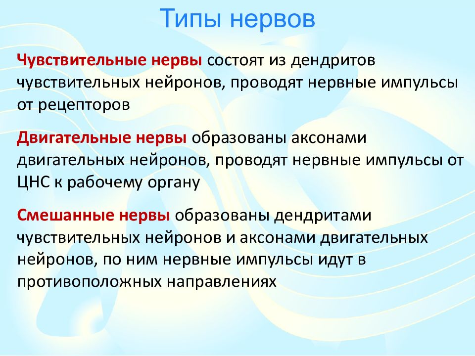 Двигательные нервы. Чувствительные двигательные и смешанные нервы. Виды нервов. Нервы типы. Чувствительные нервы.