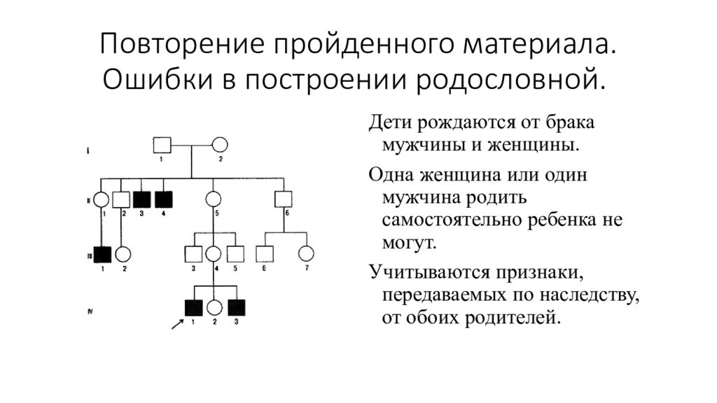 Типы родословных. Смешанный Тип наследования. Правила построения родословной. Ограниченный полом Тип наследования. Как определить Тип наследования по родословной.