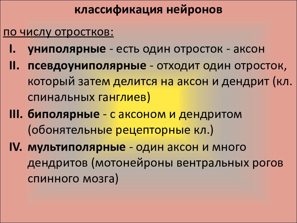 Общая характеристика нервной системы презентация