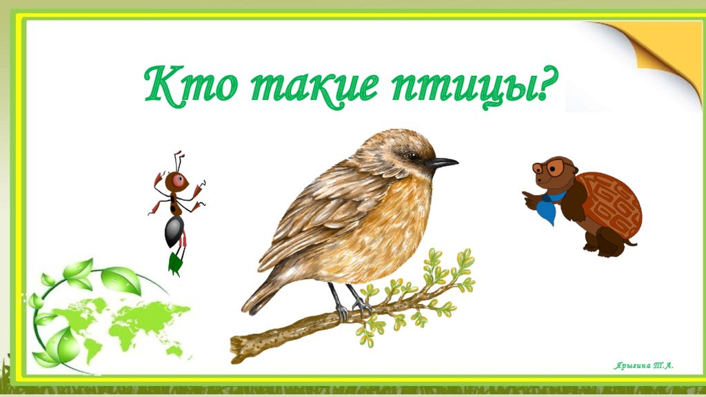 Кто такие птицы? Ярыгина Т.А