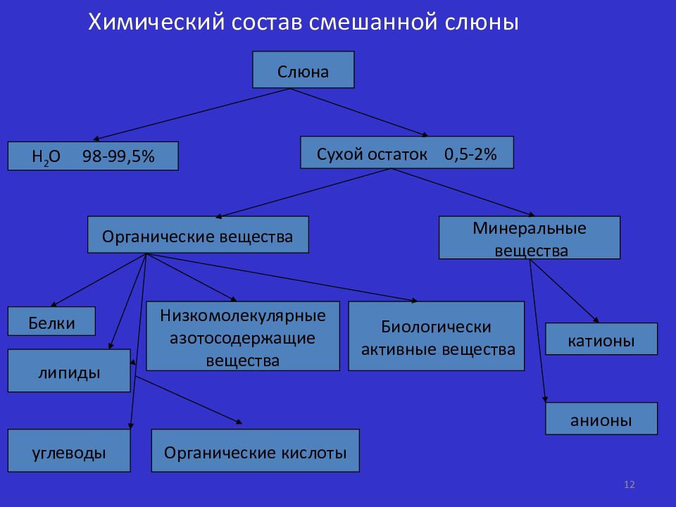 Белки слюны