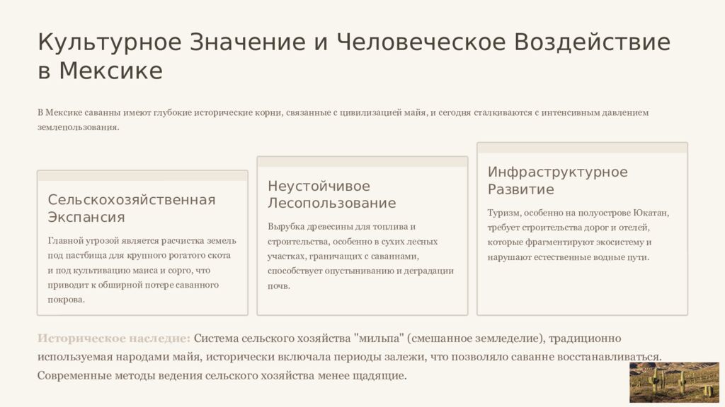 Саванны Индии и Мексики: Сравнительный Анализ Двух Тропических Экосистем Это