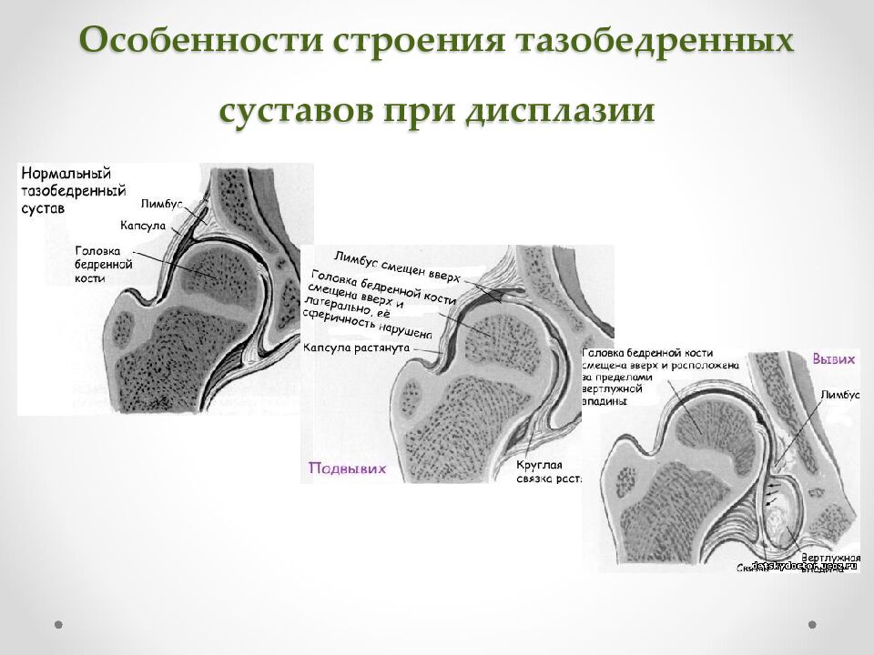 Ростовский государственный медицинский университет Кафедра детской хирургии и