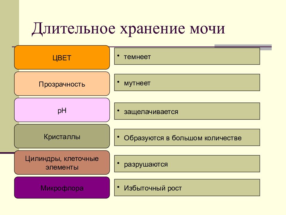 Образец мочи хранится при температуре 2 4с