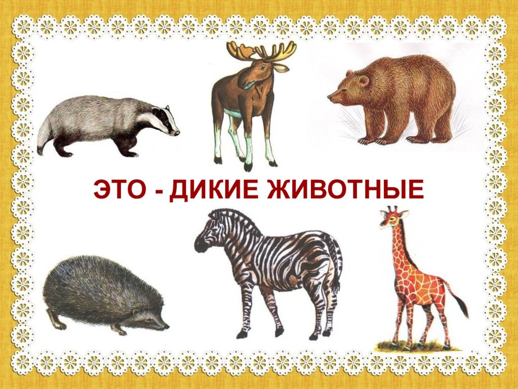 Назови 1 любой. Назови одним словом. Животные одним словом. Назови одним словом животные. Картинки для детей назови одним словом.