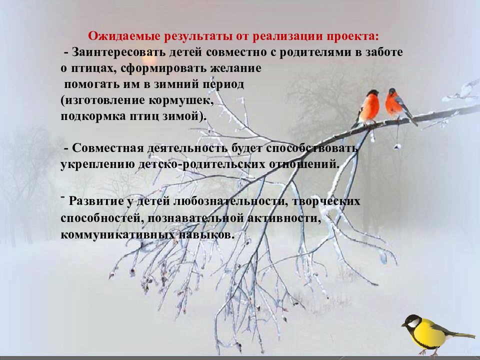 Птицы 2 младшая группа цель. Зимующие птицы вторая младшая группа. Проект зимующие птицы. Проект зимующие птицы младшая группа. Забота о птицах в зимний период.