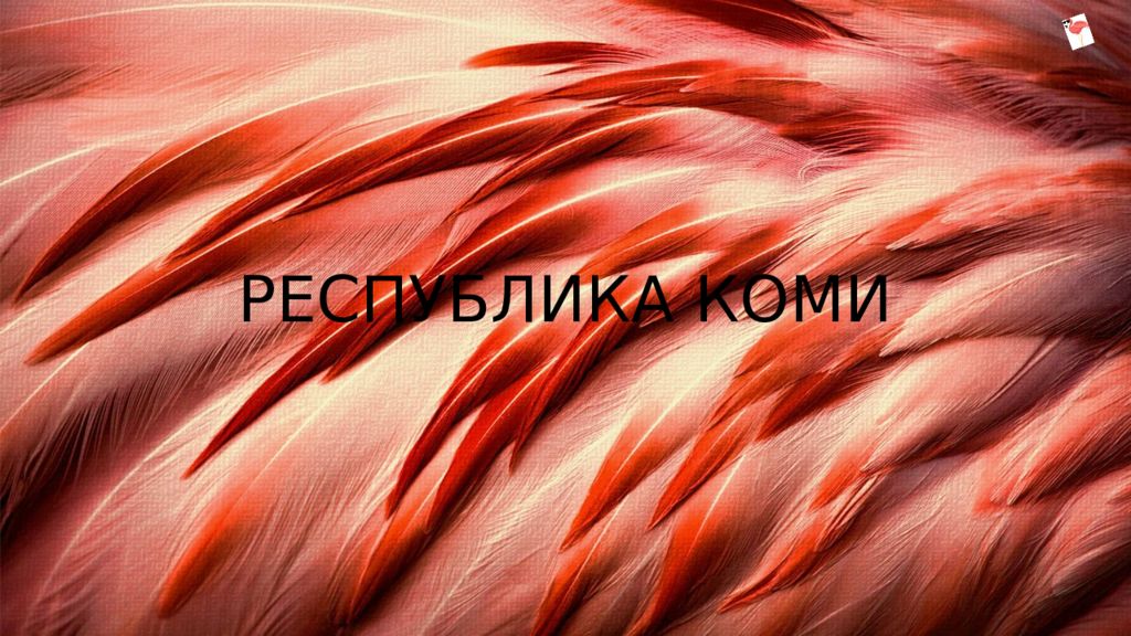 Республика коми
