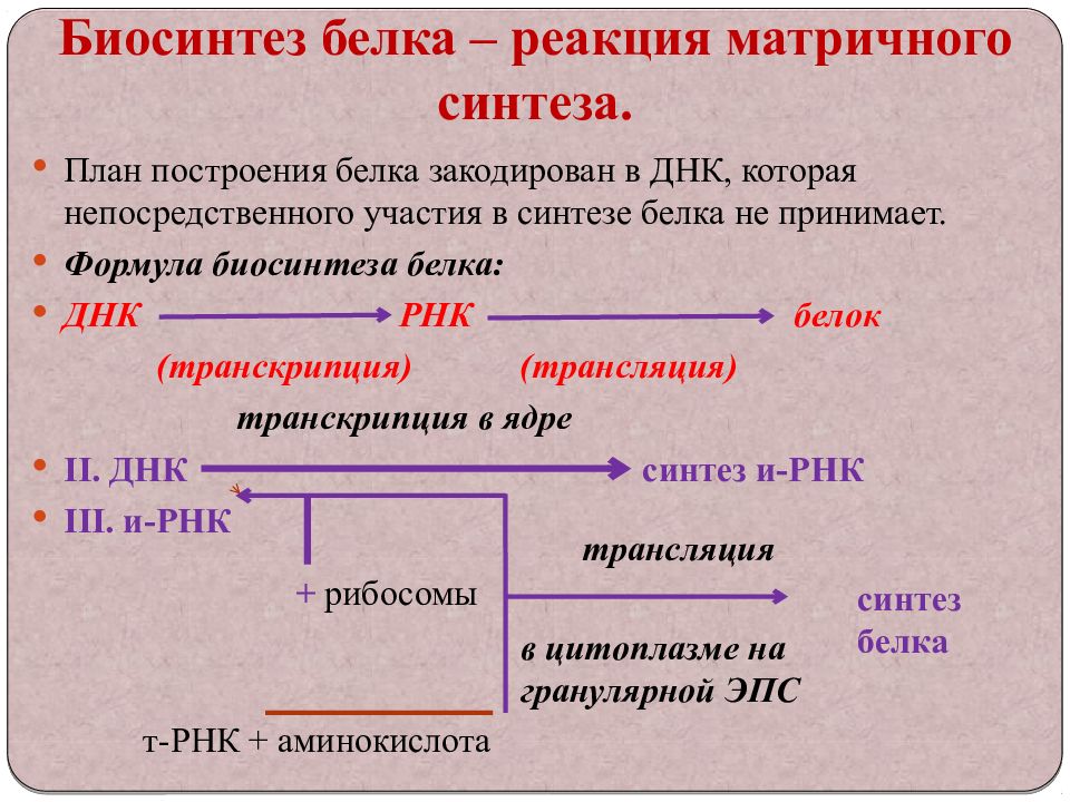 Матричный синтез