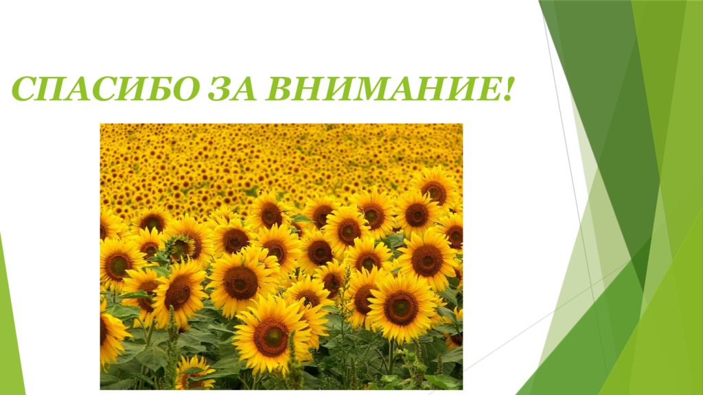 спасибо за глаза. спасибо за внимание берегите зрение. берегите глаза. спасибо за внимание берегите глаза. спасибо за внимание глаза.