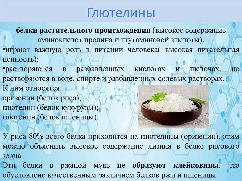Лучшие источники растительного белка. Роль пролина в белке. Белковые растительные продукты. Растительный белок в каких продуктах таблица. Белок растительного происхождения.