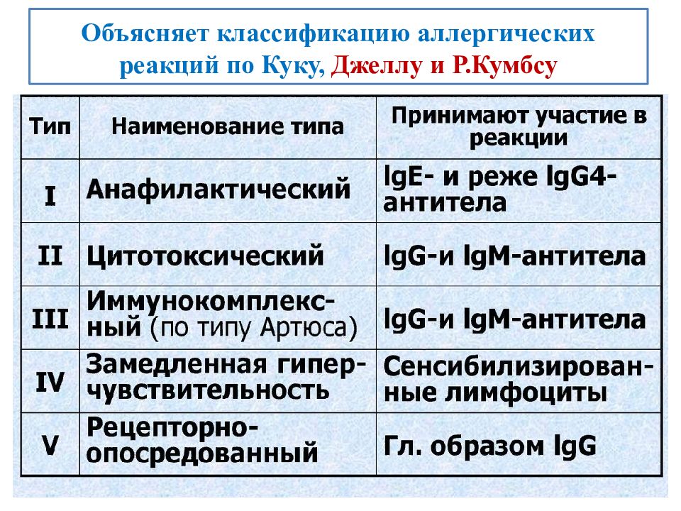 Виды аллергических реакций