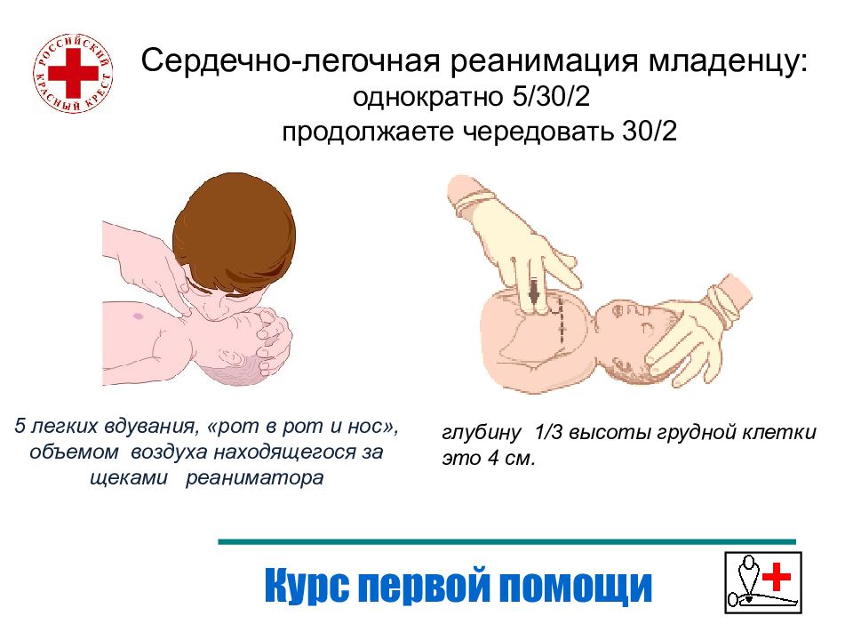 Слр новорожденных презентация