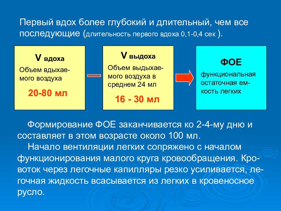 Система возрастов