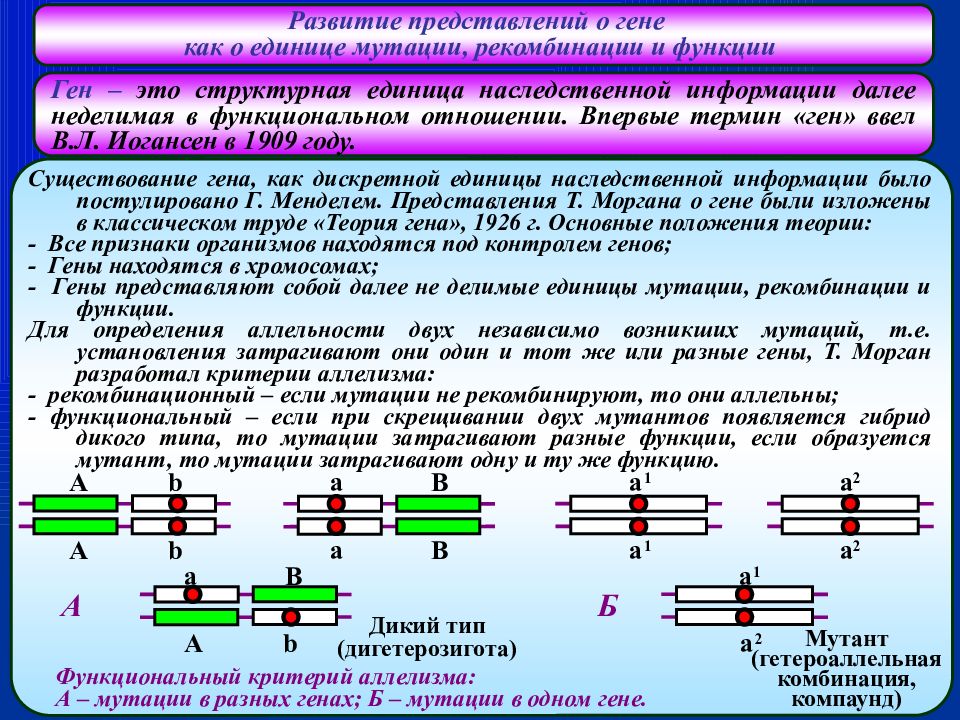 Современные представления о гене и геноме презентация 10 класс сивоглазов