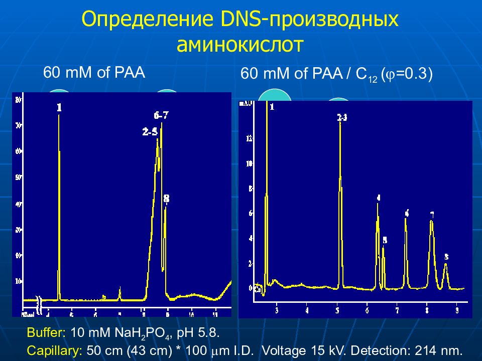 Капиллярный электрофорез презентация