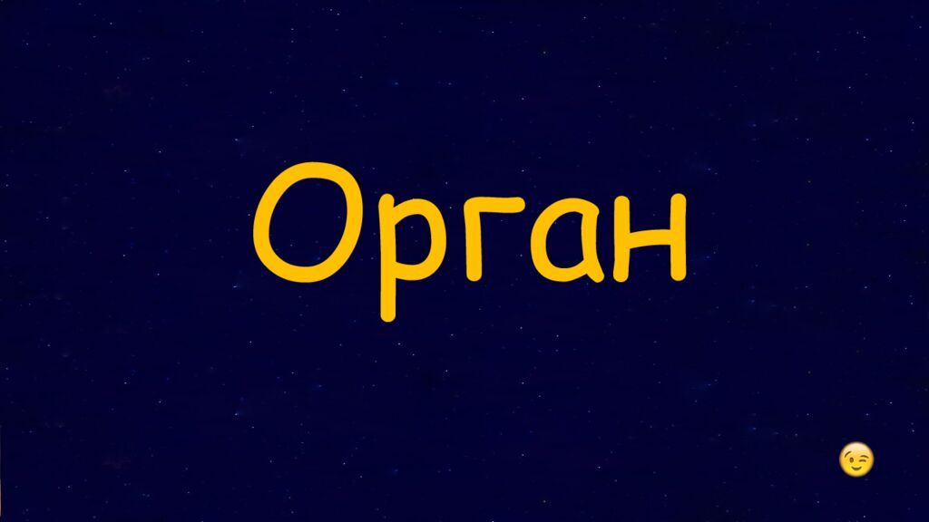 1 Раунд