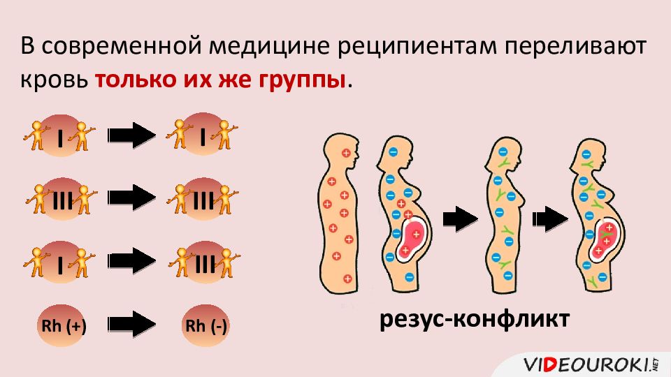 Тканевая совместимость. Тканевая совместимость и группы крови. Тканевая совместимость и переливание крови. Тканевая совместимость и переливание крови 8 класс. Тканевая совместимость и переливание крови таблица.