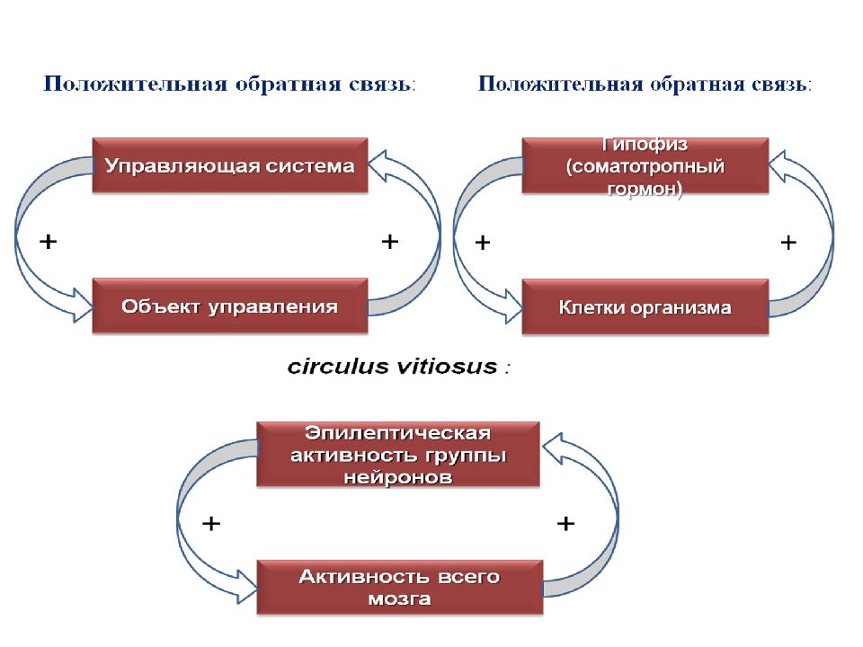 Становление физиологии как науки презентация