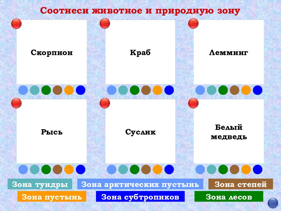 Природные зоны россии задания. Животные природных зон. Соотнеси животное и природную зону. Растения и животные степи. В какой природной зоне обитают овцы.