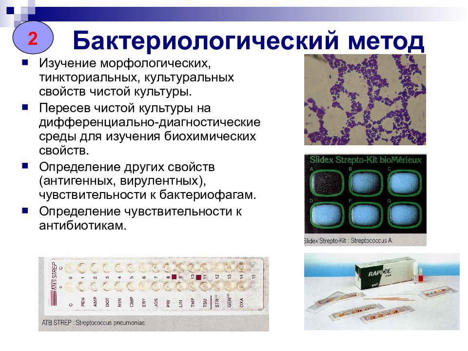 Общая схема лабораторной диагностики инфекционных заболеваний бактериальной этиологии