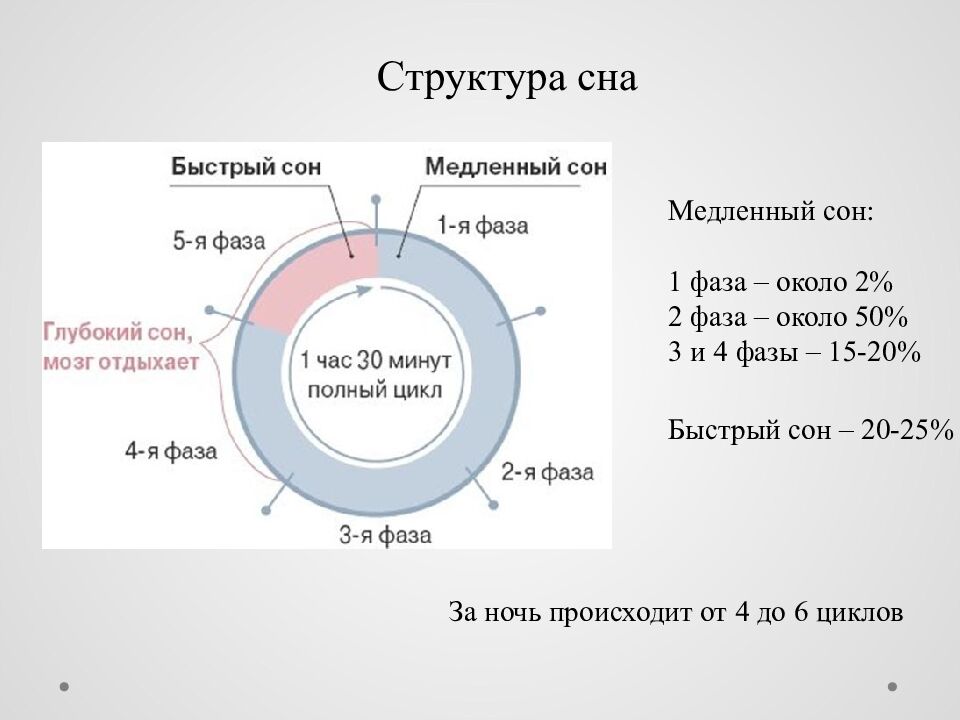 Исследовательский проект на тему : « Сон и его влияние на деятельность и