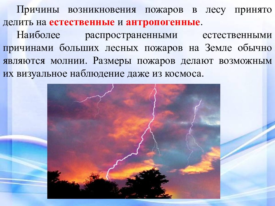 Причины природного возникновения. Причины лесных пожаров. Причины возникновения пожаров в лесу. Естественные причины возникновения лесных пожаров. Антропогенные причины пожаров.