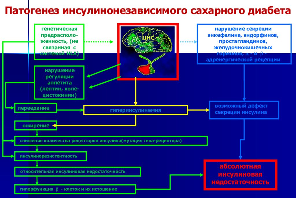 Патогенез сахарного диабета 2 типа схема