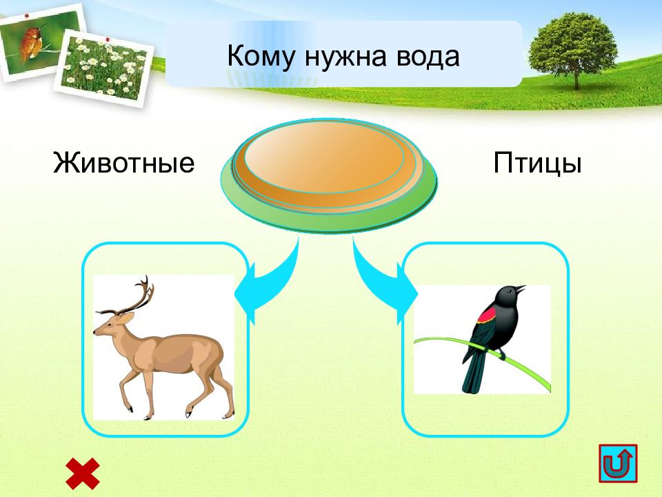 Кому нужна вода картинки для детей на прозрачном фоне