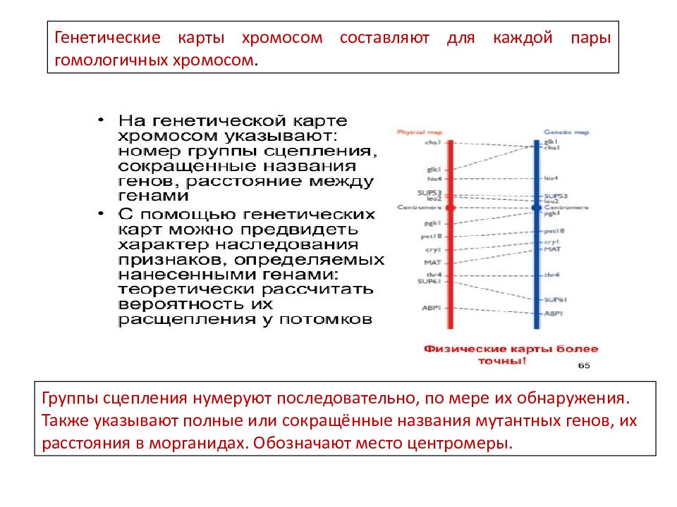 Карта хромосом это