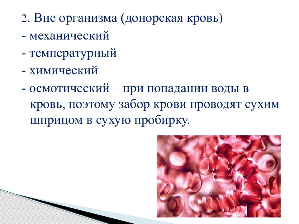 2 среды организма. Что относится к внутренней среде организма. Осмотические свойства эритроцитов человека. Осмотические активные вещества в крови и тканях.