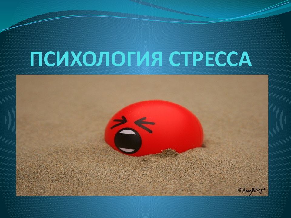 ПСИХОЛОГИЯ СТРЕССА