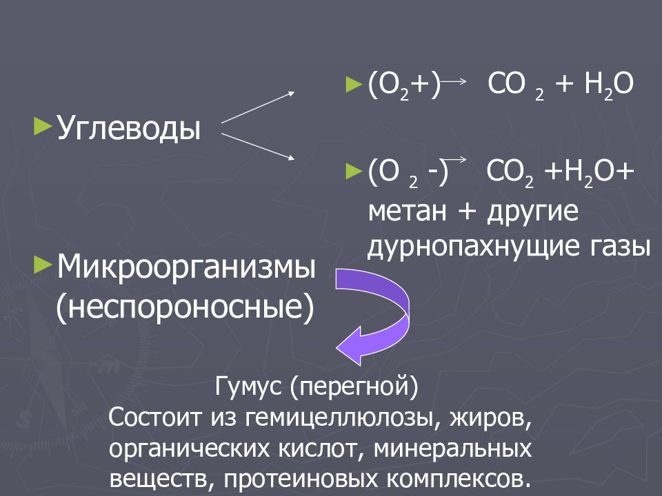 Эпидемиологическое значение почвы презентация